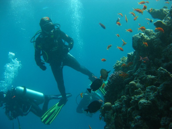 НГ 2011 Хургада