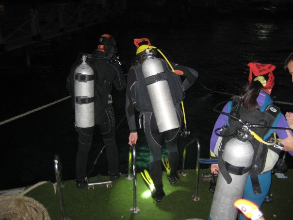 НГ 2011 Хургада