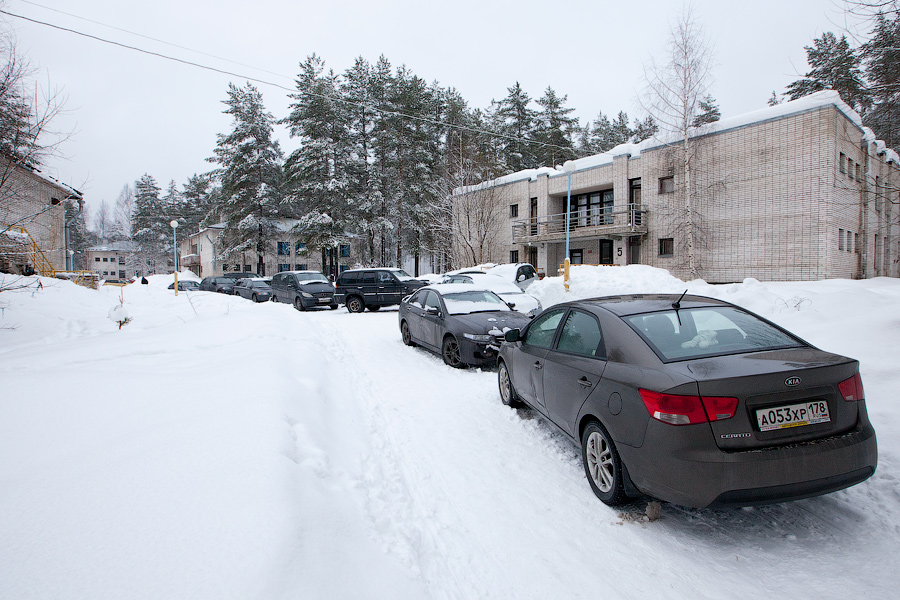 Цвелодубово: подлёдная нырялка и волейбол. 04-06.02.11