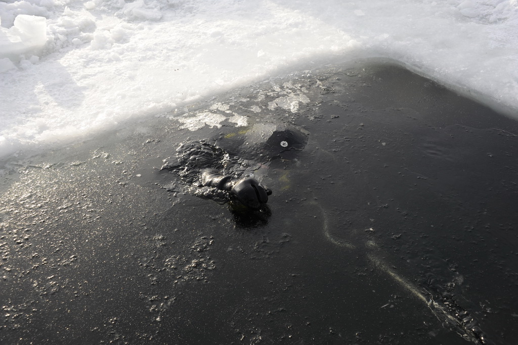 Семиозерье 2011