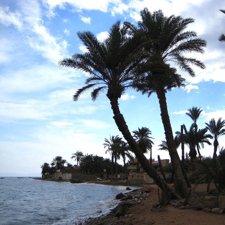 Дахаб, Ассала. Дахаб, Ассала.