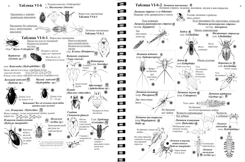 определитель страница определитель страница