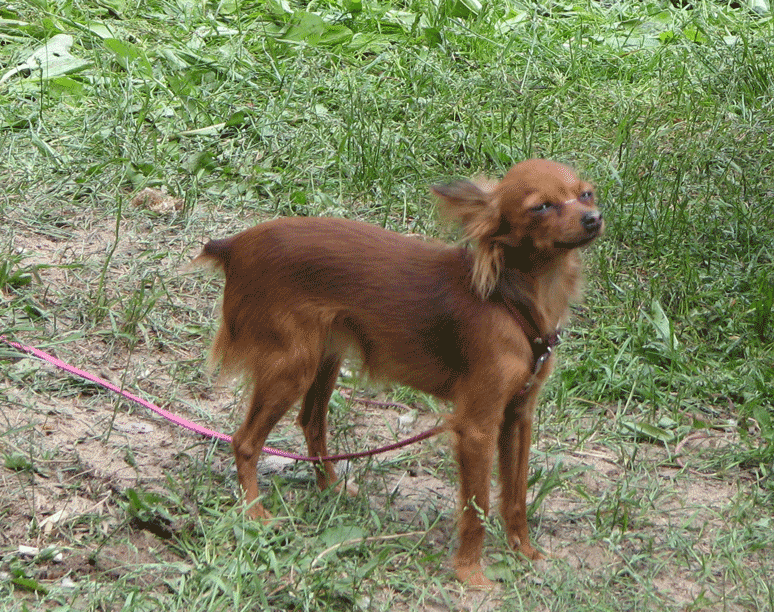 Открытие сезона 2007 Открытие сезона 2007