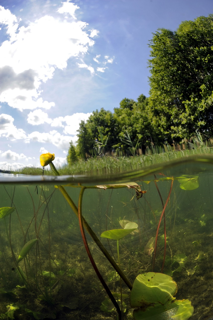 Озеро Белое 2011