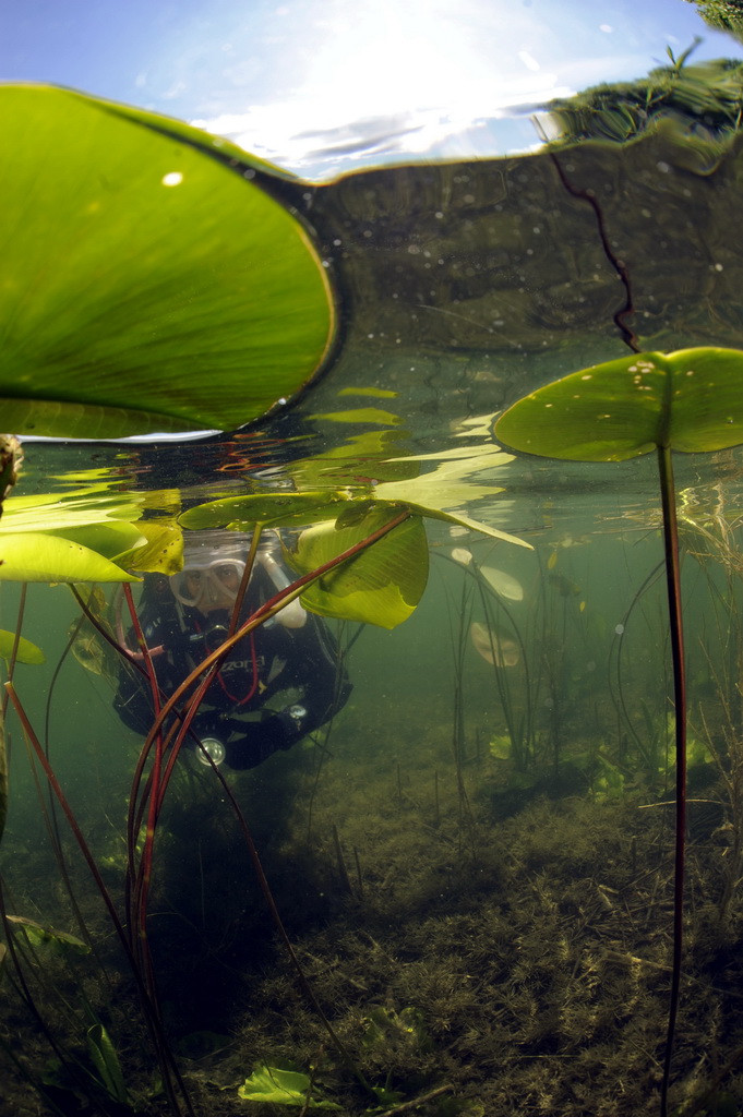 Озеро Белое 2011