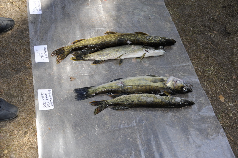 Охота Копанское 2011