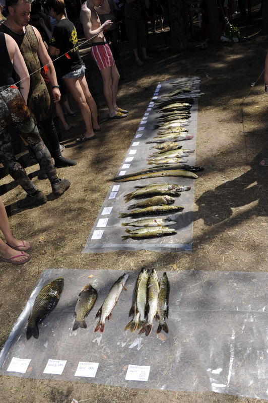 Охота Копанское 2011