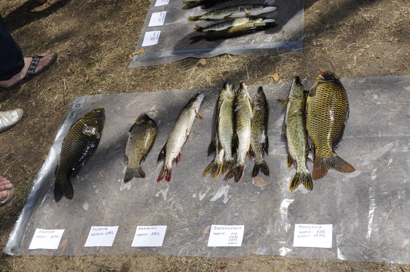 Охота Копанское 2011 Охота Копанское 2011