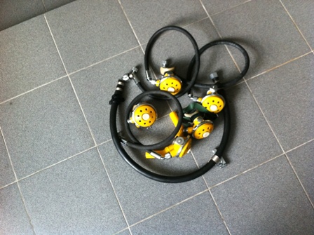 Легочники и шланги