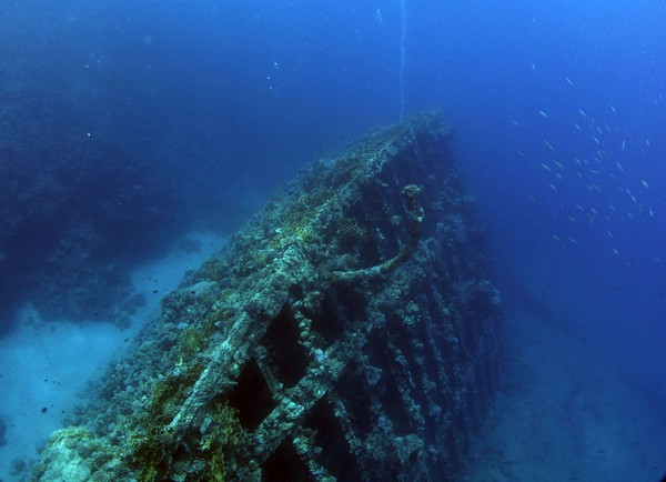 Сафари 07-2011