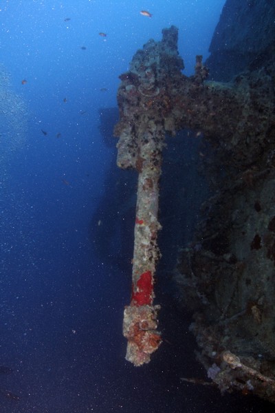 Сафари 07-2011