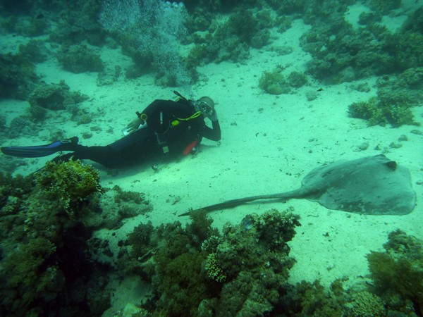 Сафари 07-2011