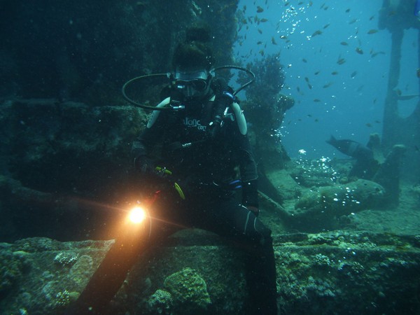 Сафари 07-2011