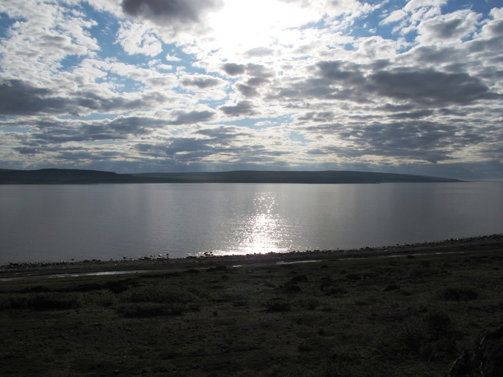 peizrib4501.jpg peizrib4501.jpg