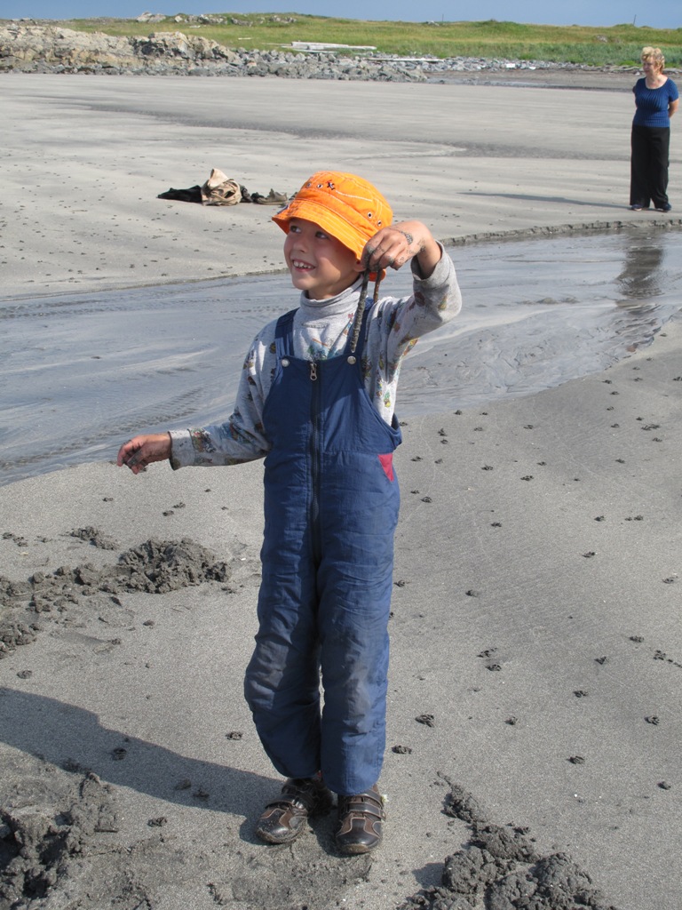 nereis4662.jpg nereis4662.jpg