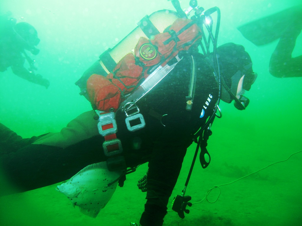 kambala5051.jpg kambala5051.jpg