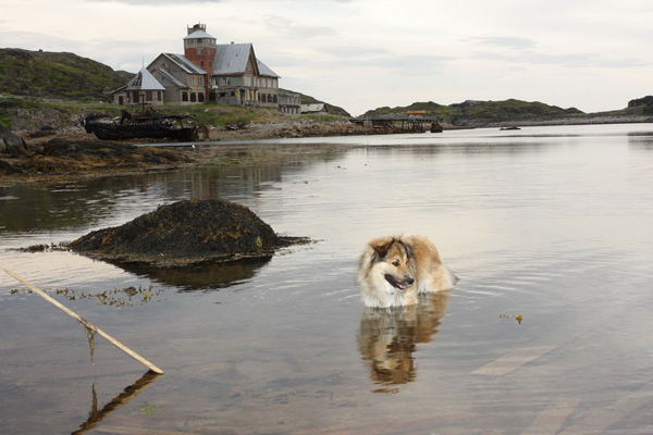 Белое - Баренцево 2011 16