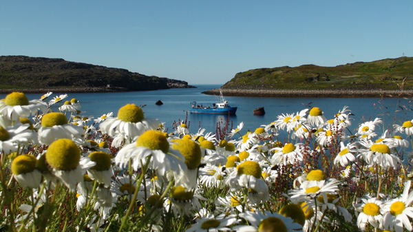 Белое - Баренцево 2011 23