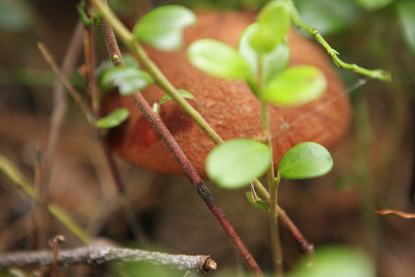 Белое - Баренцево 2011 29