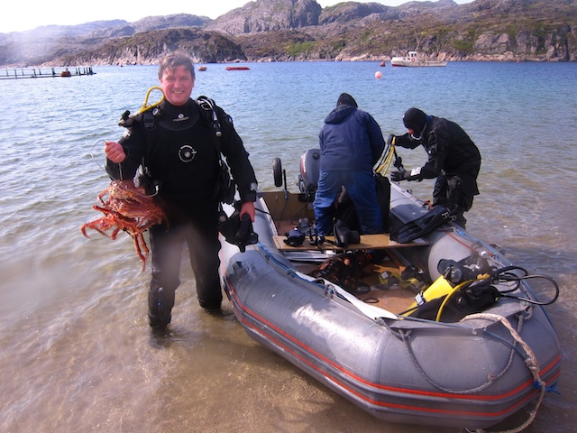 Не жди лета! Учись нырять в сухаре! Не жди лета! Учись нырять в сухаре!