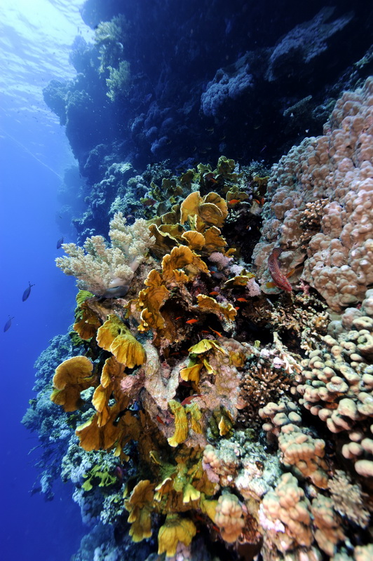 Кр.море сент.2011