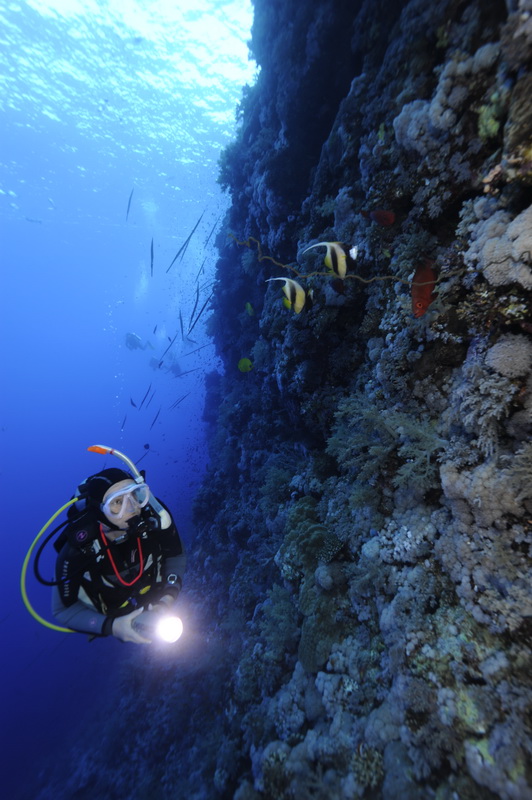 Кр.море сент.2011