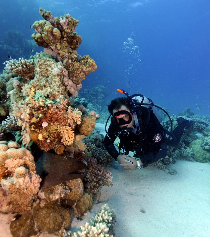 Кр.море сент.2011