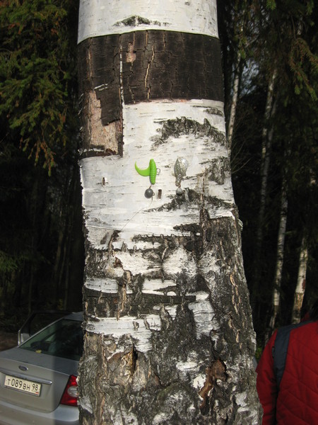 трофеи предыдущих групп трофеи предыдущих групп