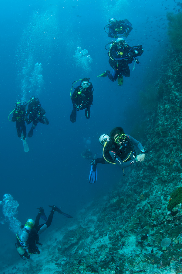 Мальдивы, Carpe Vita, ноябрь 2011