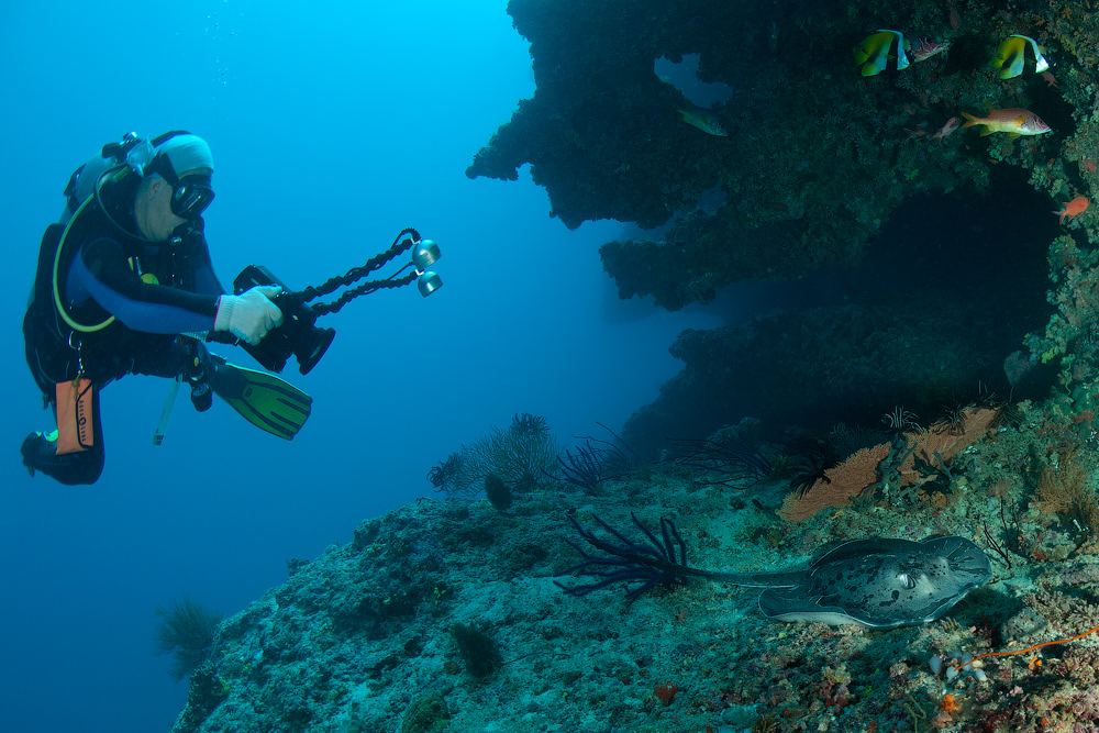 Мальдивы, Carpe Vita, ноябрь 2011 Мальдивы, Carpe Vita, ноябрь 2011