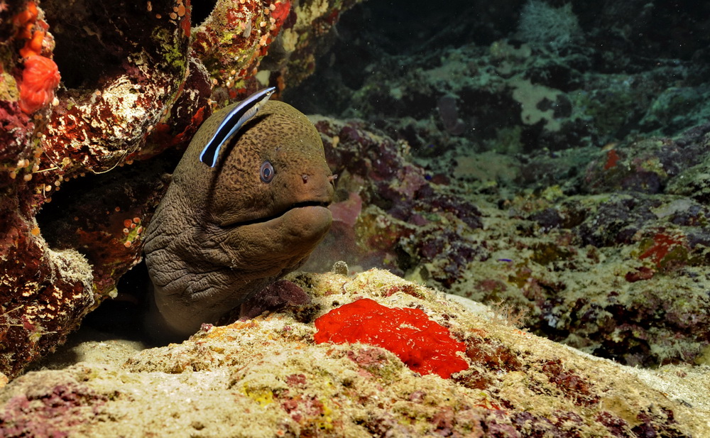 Кр.м. нояб.2011