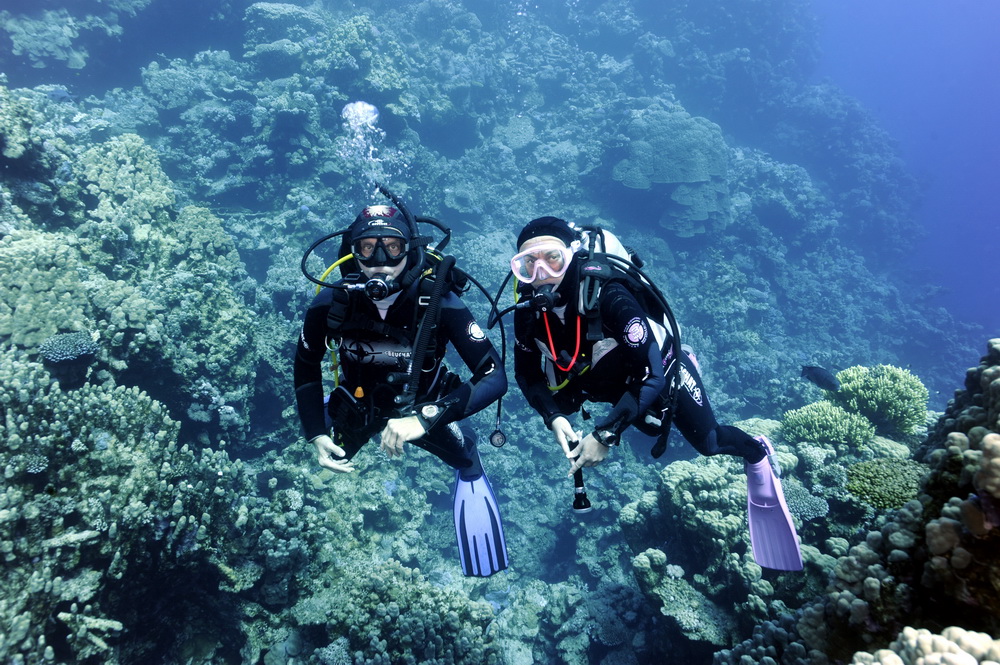 Кр.м. нояб.2011