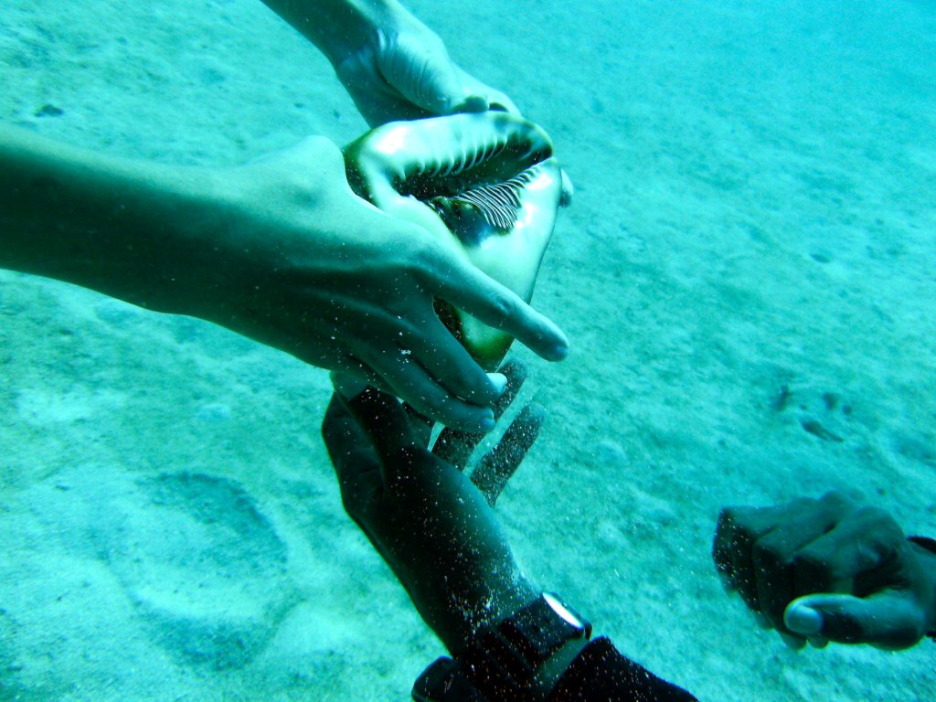 День Мирового Океана в Бока Чике. Доминикана День Мирового Океана в Бока Чике. Доминикана