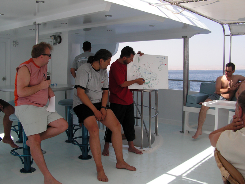 Сафари К.М. 2007