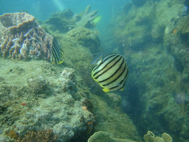 Phu-Quoc Phu-Quoc