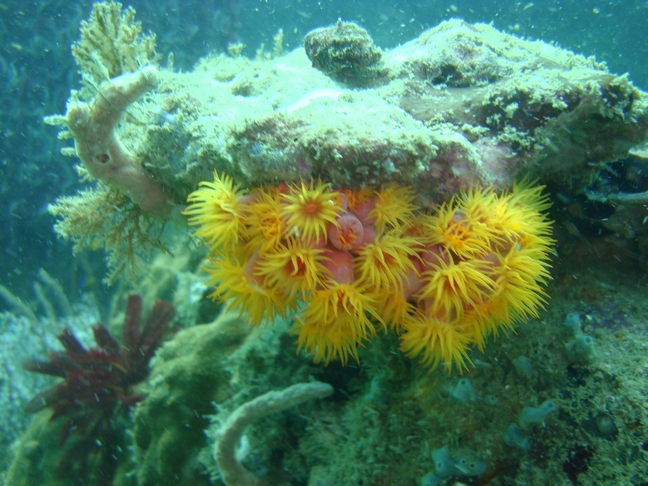 Phu-Quoc Phu-Quoc