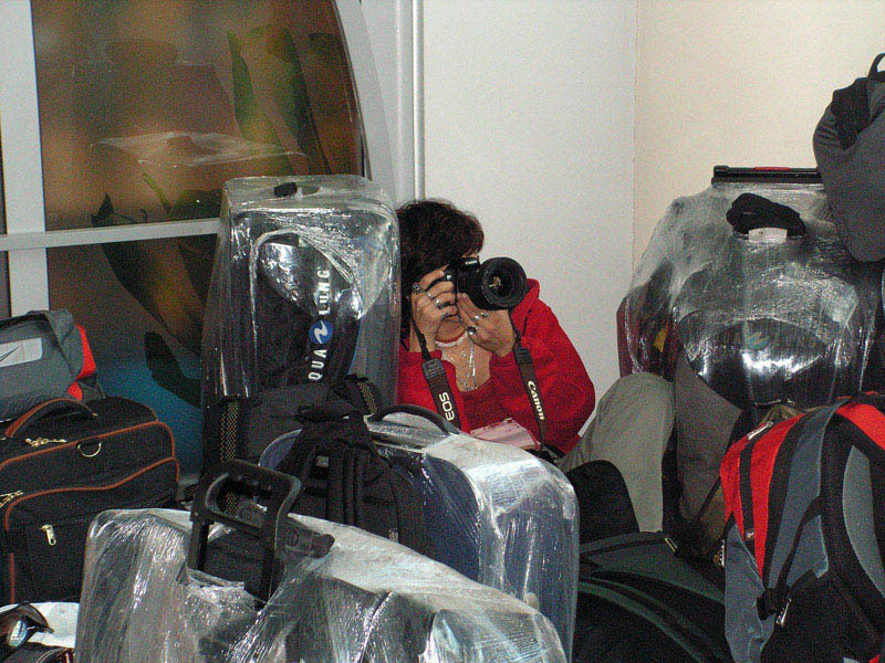 Сафари К.М. 2007