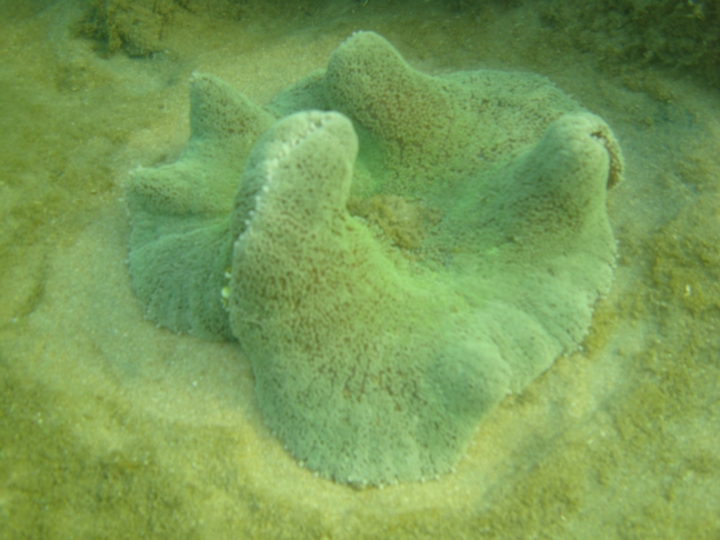 Phu-Quoc Phu-Quoc
