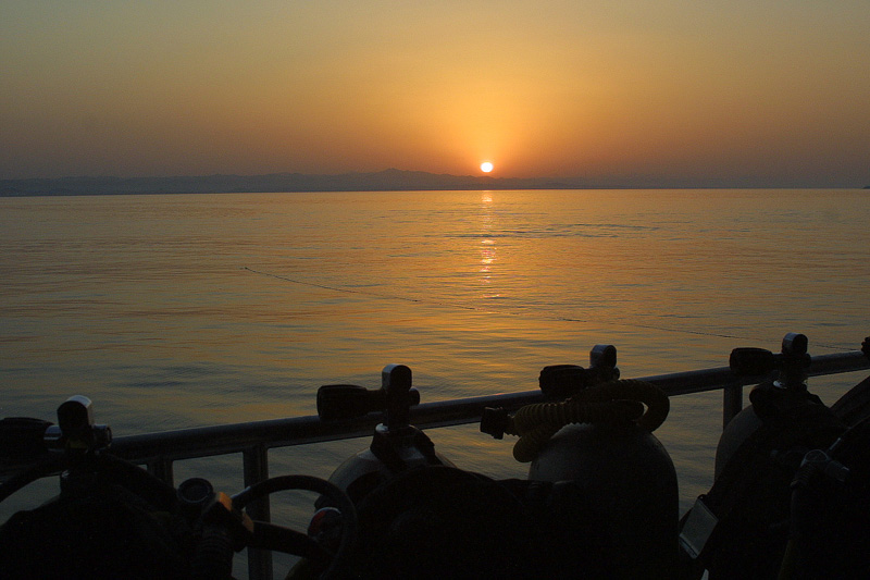 Сафари К.М. 2007