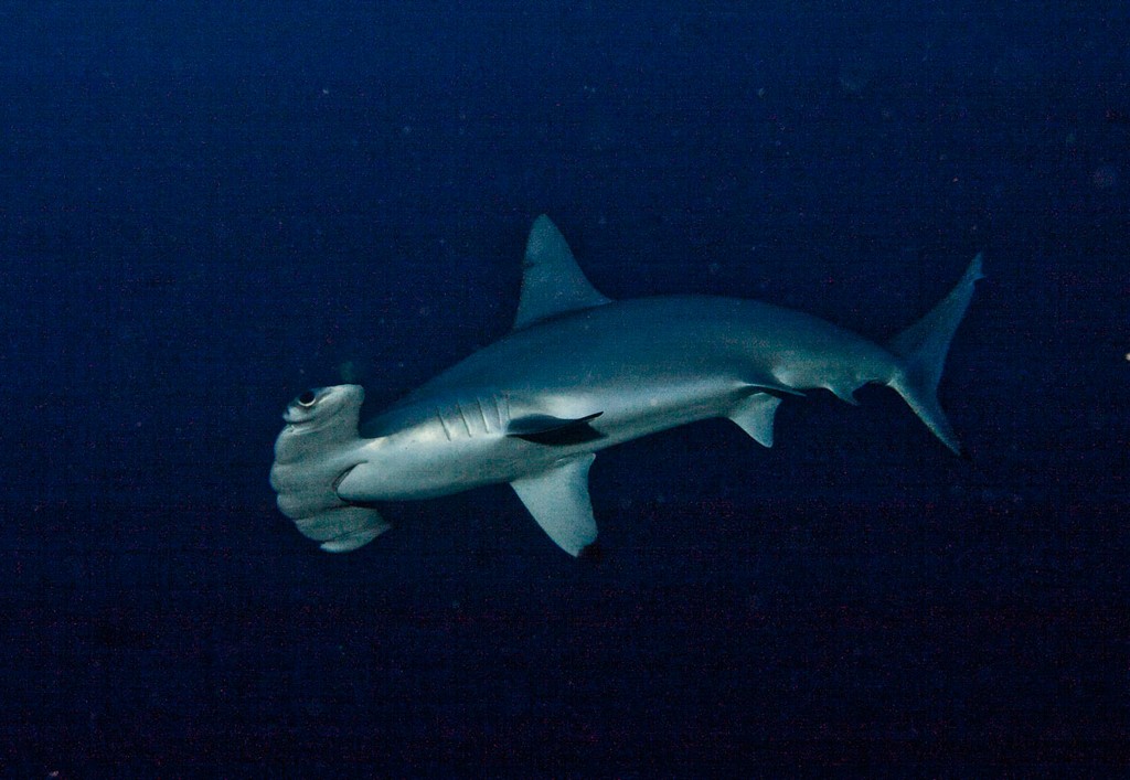 Судан_январь 2012 Судан_январь 2012