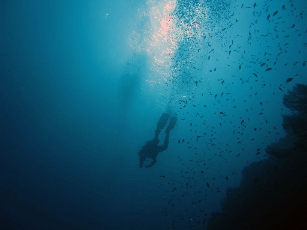 Хургада январь 2012 Хургада январь 2012