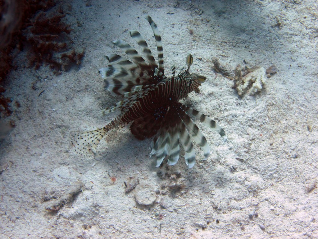 Хургада январь 2012 Хургада январь 2012