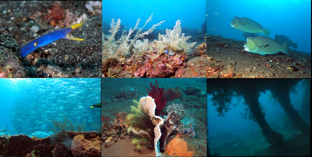 Бали Туламбен