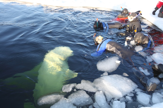 Белое. д-ц "Полярный круг"