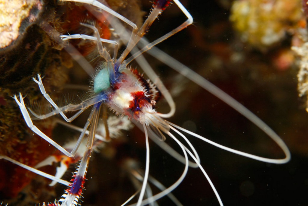 Мальдивы 2012 Мальдивы 2012