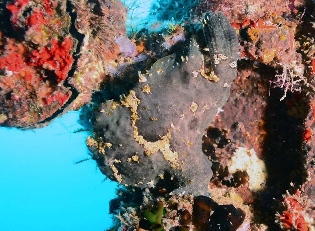 Мальдивы 2012 Мальдивы 2012