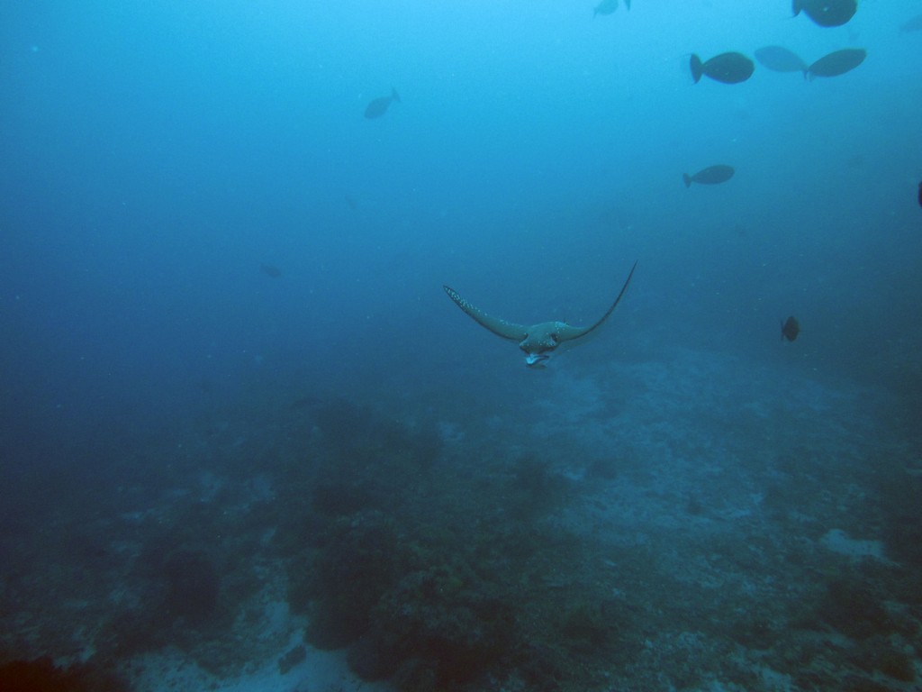 Мальдивы март 2011