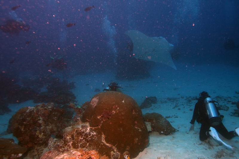 Палау_ноябрь 2010