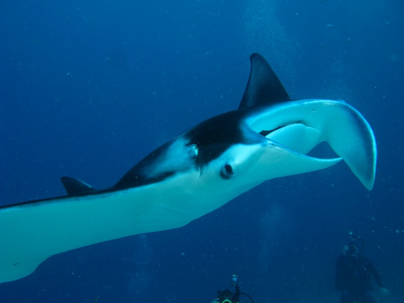 Палау_ноябрь 2010