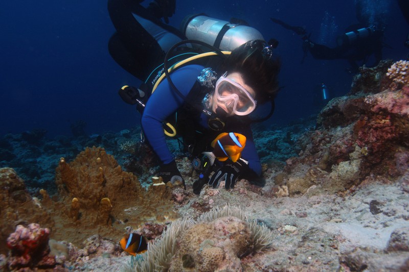 Палау_ноябрь 2010 Палау_ноябрь 2010